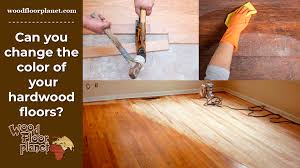 color of your hardwood floors