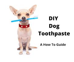 diy homemade dog toothpaste in 6 easy