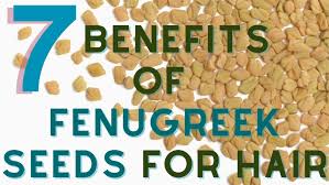 of fenugreek seeds methi for hair