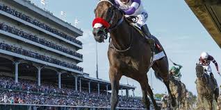 Breeders Cup Juvenile Betting On The Kentucky Derby Is A Loss