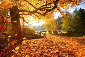 Most years, you can expect it to occur on september 22 or 23. 12 Facts About The First Day Of Fall