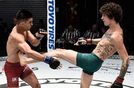 Growing up i was one of the smallest athletes which made things difficult. Ufc 250 Sean O Malley Turned Two Year Layoff Into A Positive