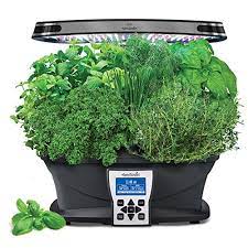The 5 Best Indoor Herb Garden Kits