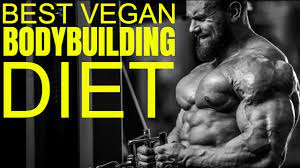 the best vegan t for bodybuilding