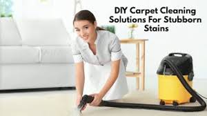 diy carpet cleaning solutions for