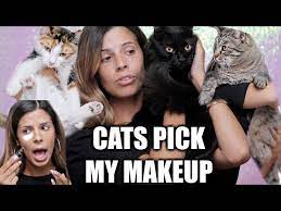 my cats pick my makeup you