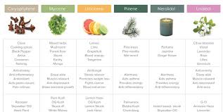 This Chart Shows How To Pair Marijuana Strains With Food And