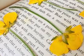 how to press flowers in books little