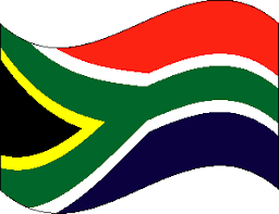 Image result for south african flag