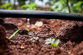 Learn About Drip Irrigation