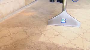 combat cold and flu with clean carpets