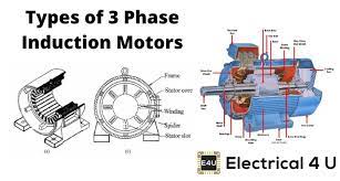 types of three phase induction motor