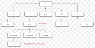 Organizational Chart Linux File System Png 800x418px