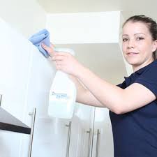the best 10 home cleaning near london