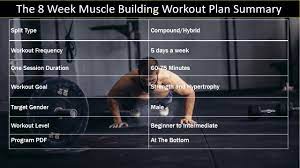 the 8 week muscle building workout plan