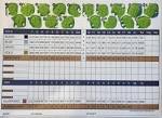 Rockwall Golf & Athletic Club - Course Profile | Course Database