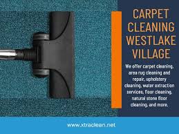 choose the professional carpet cleaning