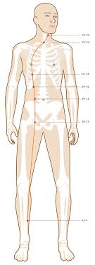 Acupuncture Points On Your Chest Smarter Healing