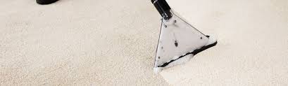 residential carpet cleaning specialists
