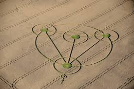 Crop circles: They're real and contain hidden messages, scientist says - NZ Herald