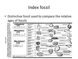 Index Fossils Activity Index Fossil Worksheet Vintagegrn