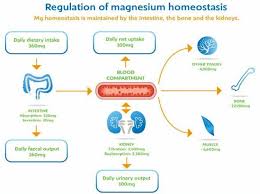 Magnesium Deficiency Causes And Symptoms May 2016