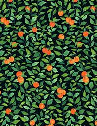 free orange crush wallpaper by