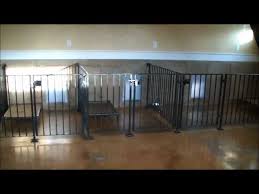 indoor dog facility design tips and