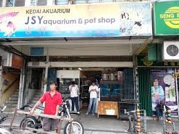 Wijaya aquarium berlokasi di pusat ikan hias kios no. Trumerx