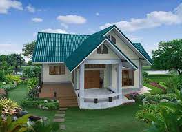 House Design With Green Roof And Grass