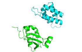 protein protein docking