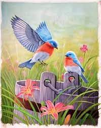 Colorful Bird Handpainted Paintings