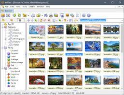 Best photo viewer, image resizer & batch converter for windows. Xnview 2 49 3 Xnviewmp 0 96 3 Crack Latets Version Startcrack