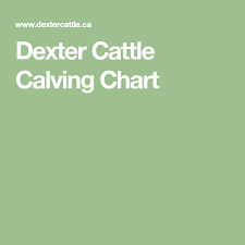 Dexter Cattle Calving Chart Working Pens Dexter Cattle