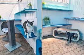 Kong toys satisfy cats' natural instincts to stalk, hunt and capture while delivering a healthy dose of exercise. Ocean Themed Catio At Rancho Coastal Humane Society