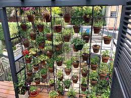 Straight Up Vertical Garden Lessons