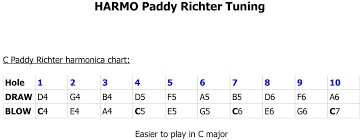 Paddy Richter Harmonica Harmo Polar Special Tuning Harmonica