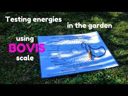 Using Bovis Scale Dowsing Chart And Pendulum To Test Energies In The Garden