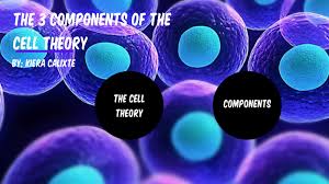 cell theory by kiera calixte on prezi