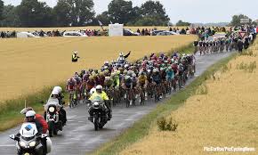 Image result for 2015 tour de france ago