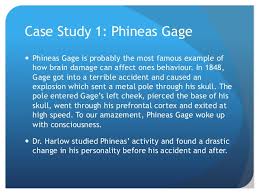 Phineas Gage   in Chapter     Human Nervous System   from     Phineas Gage