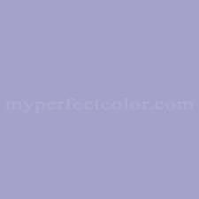 dutch boy p039 neon purple precisely