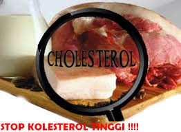 Image result for kolesterol