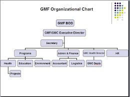 Foundation Org Chart Galkayo Medical Foundations Friends