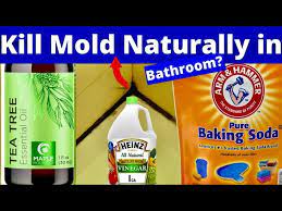Black Mold Removal Vinegar Vs Baking