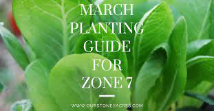 March Planting Guide For Zone 7 Our