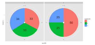 R Ggplot2 Add Labels On Facet Pie Chart Stack Overflow