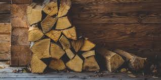 ¿Qué madera es buena para leña?