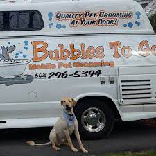 Find and adopt a pet on petfinder today. Bubbles To Go Home Facebook