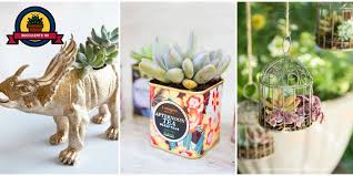diy ideas to display succulents